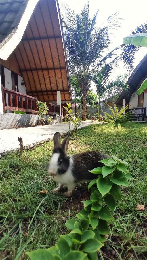 Follow The Rabbit Bungalow Gili Air Exterior foto