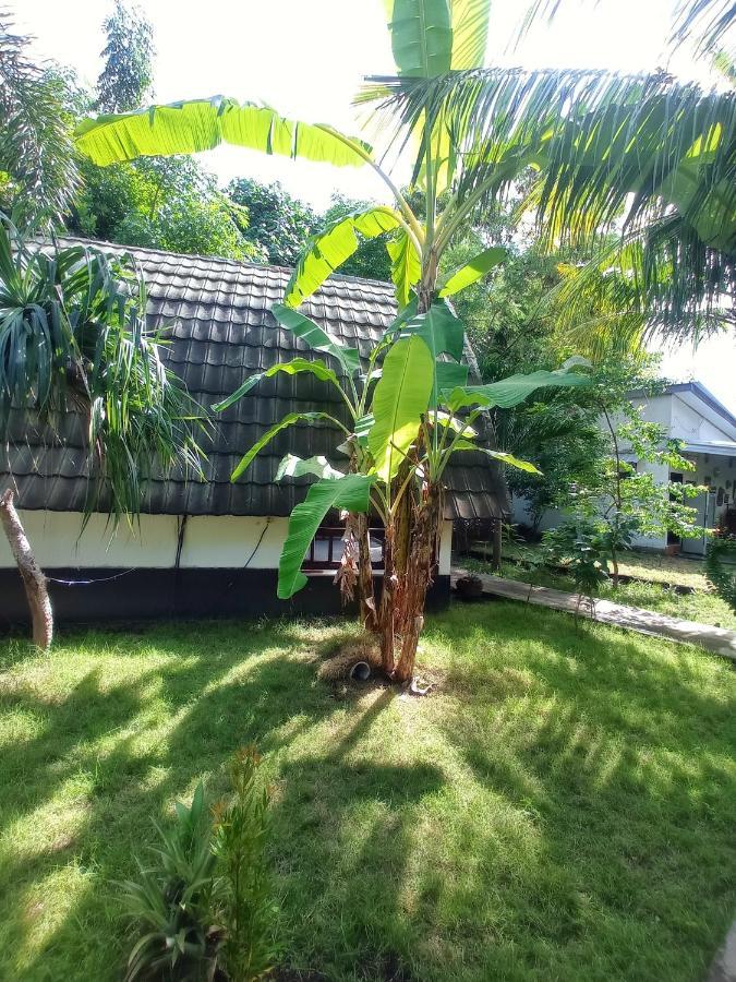 Follow The Rabbit Bungalow Gili Air Exterior foto